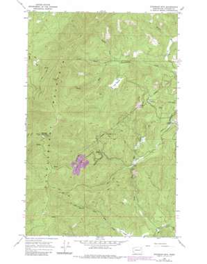 Stensgar Mountain USGS topographic map 48117b8