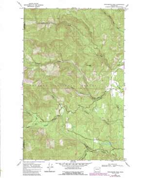 Winchester Peak USGS topographic map 48117c4