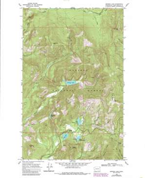 Browns Lake USGS topographic map 48117d2