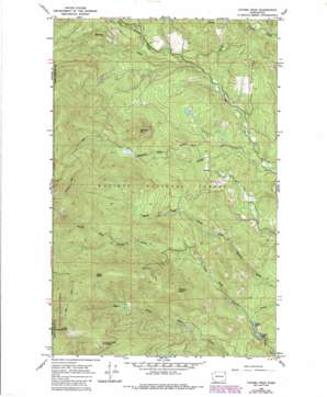 Tacoma Peak USGS topographic map 48117d4