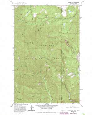Gleason Mountain USGS topographic map 48117e1