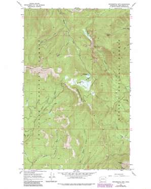 Monumental Mountain USGS topographic map 48117f2