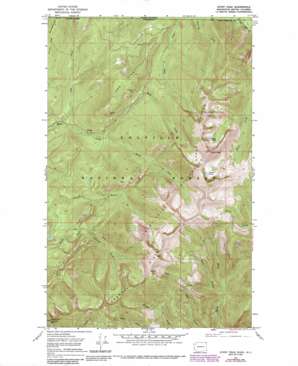 Gypsy Peak USGS topographic map 48117h2