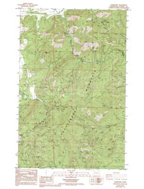 Adams Mountain USGS topographic map 48118a1
