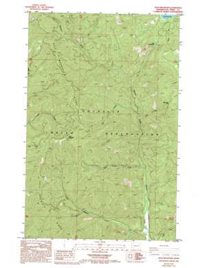 Gold Mountain USGS topographic map 48118b4