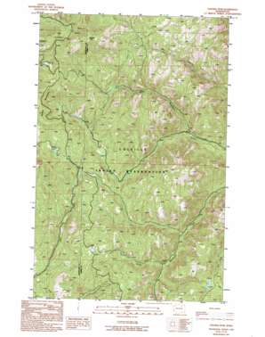Central Peak USGS topographic map 48118c7