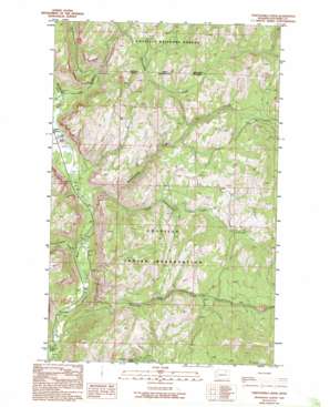 Thirteenmile Creek USGS topographic map 48118d6