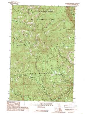 Strawberry Mountain USGS topographic map 48118d8