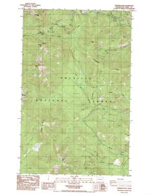 Sherman Peak USGS topographic map 48118e4