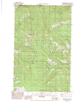 Independent Mountain topo map