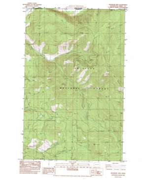 Boundary Mountain USGS topographic map 48118h4