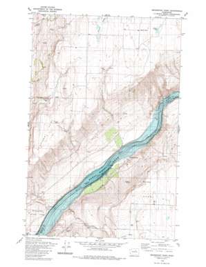 Bridgeport Point USGS topographic map 48119a5