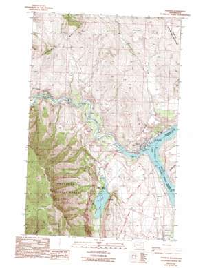 Pateros USGS topographic map 48119a8