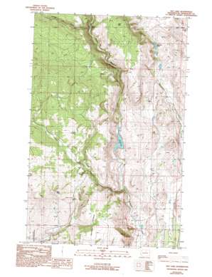 Rat Lake USGS topographic map 48119b7
