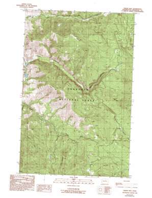 Thrapp Mountain USGS topographic map 48119c8