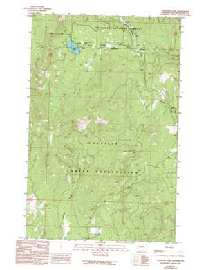 Crawfish Lake USGS topographic map 48119d2