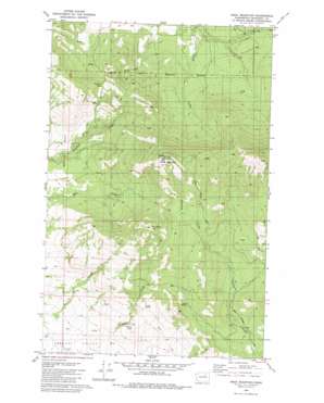 Omak Mountain USGS topographic map 48119d3