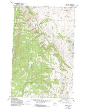 Ruby Hill topo map
