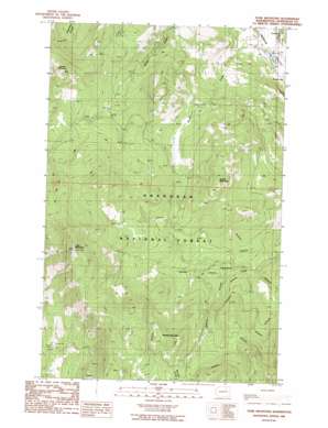Bailey Creek USGS topographic map 48119e2