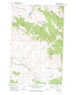 Synarep USGS topographic map 48119e3