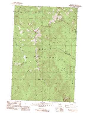 Old Baldy topo map