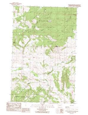 Cayuse Mountain USGS topographic map 48119f2