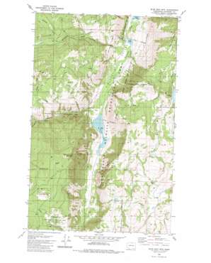 Blue Goat Mountain USGS topographic map 48119f6