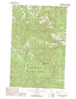Coxit Mountain USGS topographic map 48119f7