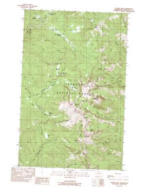 Tiffany Mountain topo map