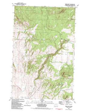 Burge Mountain USGS topographic map 48119g3