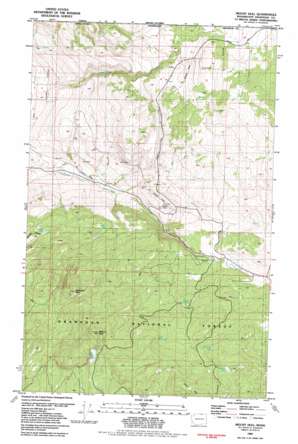 Mount Hull USGS topographic map 48119h3