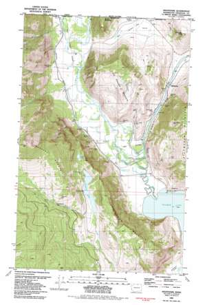 Bullfrog Mountain USGS topographic map 48119h6