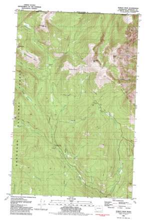 Hurley Peak USGS topographic map 48119h7