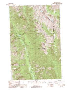 Trinity USGS topographic map 48120a7
