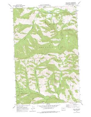 Twisp West USGS topographic map 48120c2