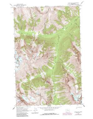 Agnes Mountain USGS topographic map 48120c8