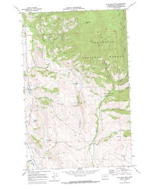 Blue Buck Mountain USGS topographic map 48120d1