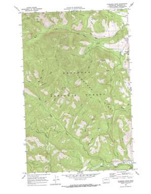Thompson Ridge USGS topographic map 48120d3