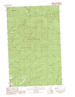 Pearrygin Peak USGS topographic map 48120e1