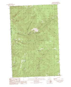 Spur Peak USGS topographic map 48120f1