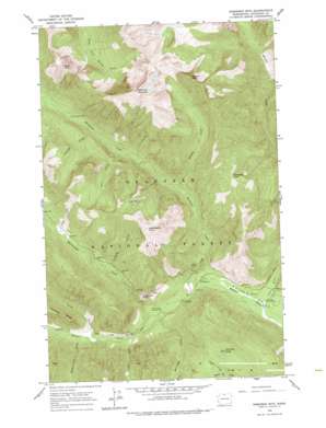 Robinson Mountain USGS topographic map 48120f5