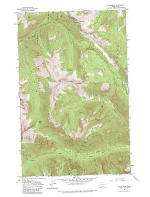 Robinson Mountain USGS topographic map 48120f6