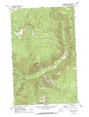 Coleman Peak topo map