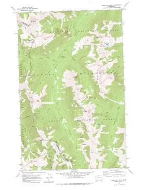 Pasayten Peak USGS topographic map 48120g6
