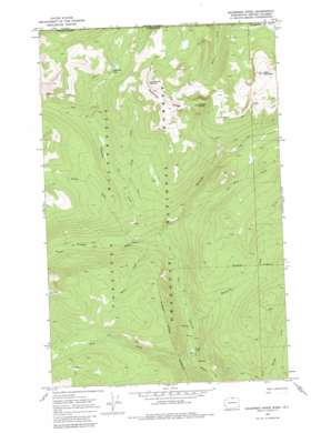 Bauerman Ridge USGS topographic map 48120h1