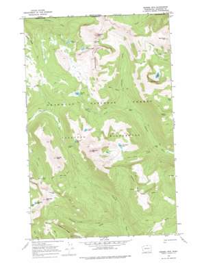 Remmel Mountain USGS topographic map 48120h2
