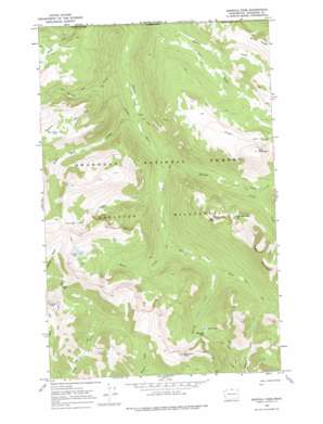 Ashnola Pass USGS topographic map 48120h3