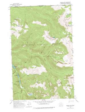 Ashnola Mountain topo map