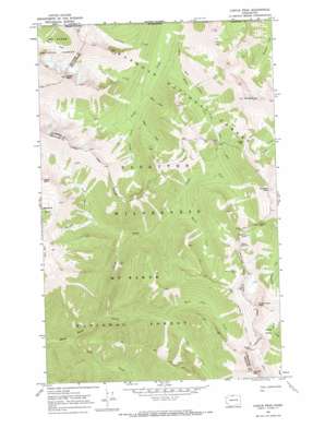 Castle Peak USGS topographic map 48120h7