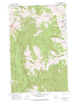 Skagit Peak USGS topographic map 48120h8